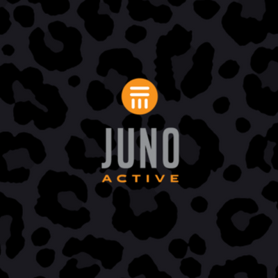 JunoActive Celebrates the Beautiful Black Leopard